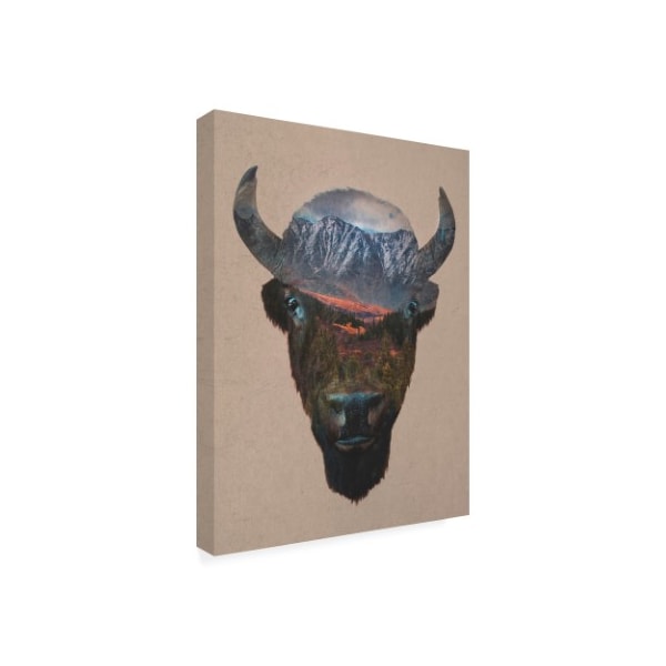 Davies Babies 'Bison Peak' Canvas Art,18x24